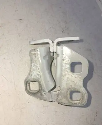 Tesla Model 3 Rear door lower hinge RLL331F 21191