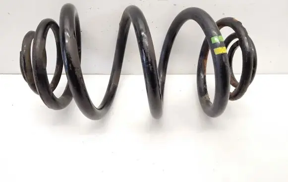 Renault Trafic III (X82) Rear coil spring