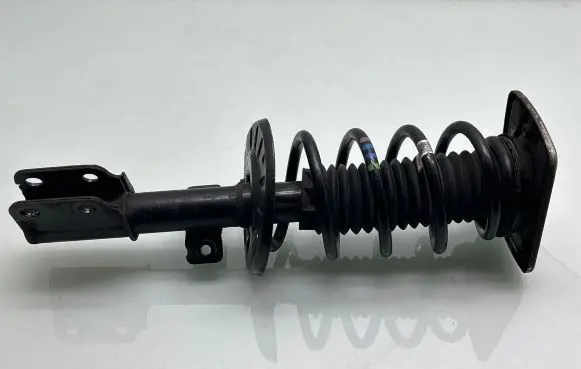 Front shock absorber with coil spring