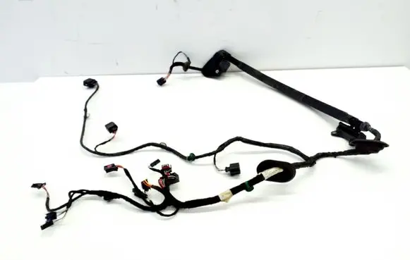 Other wiring loom