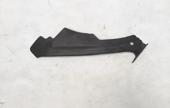 Front fog light trim/grill