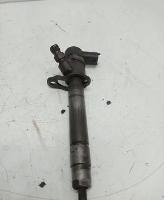 Volvo V70 Fuel injector 0445110251