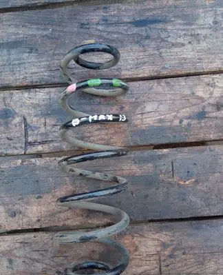 Ford B-MAX Rear coil spring