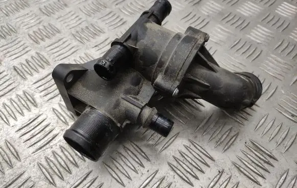 Thermostat/thermostat housing