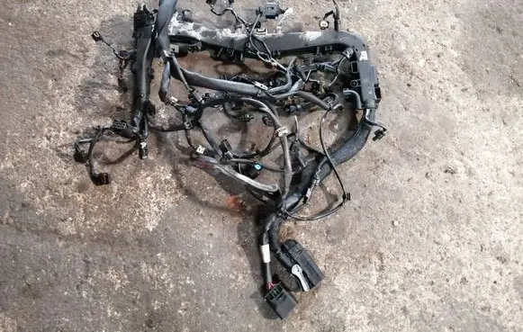 Engine installation wiring loom