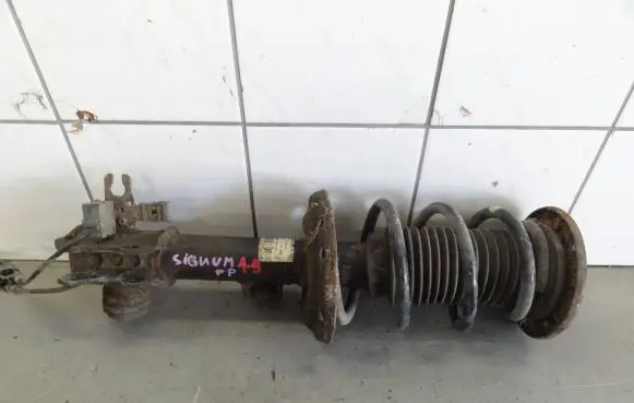 Opel Signum Front shock absorber with coil spring 13131689