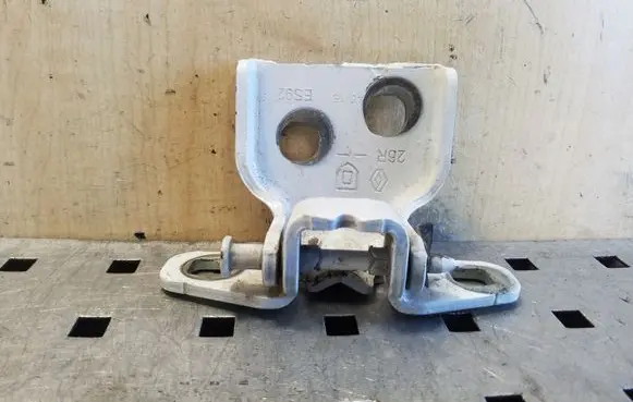 Dacia Sandero Rear door lower hinge