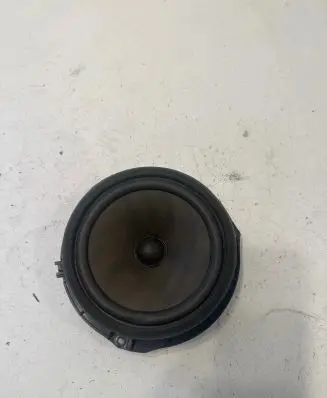 Front door speaker