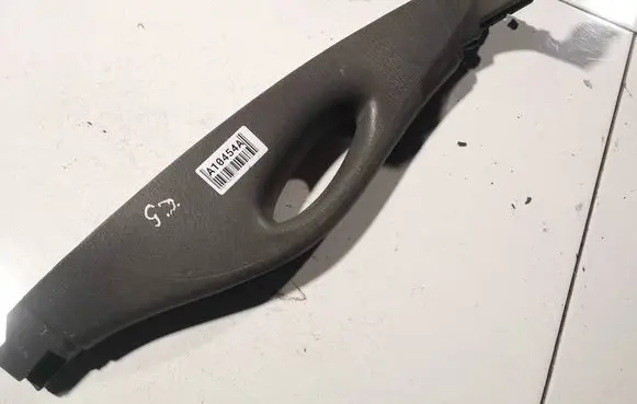 Other rear door trim element