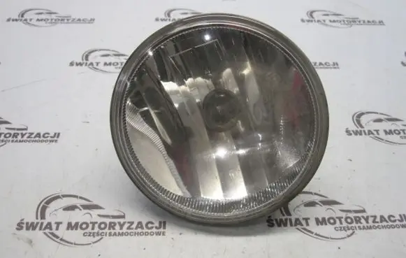 Opel Antara Front fog light 948415