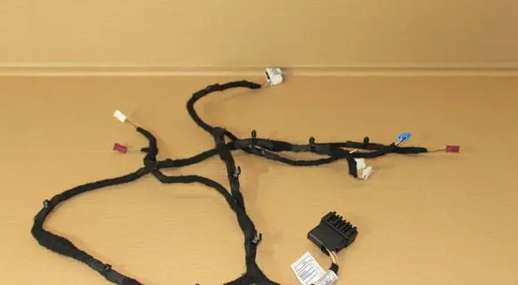 BMW 2 G42 Front door wiring loom 5A52E82