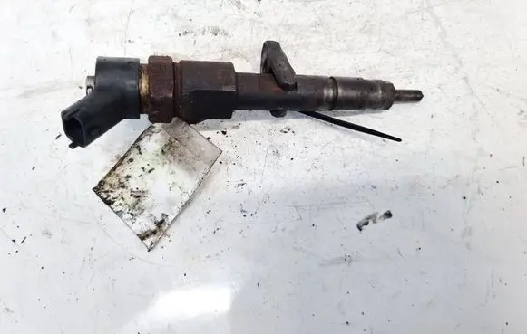 Renault Scenic II - Grand scenic II Fuel injector 0445110110b 8200100272