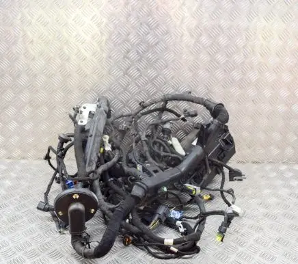 Maserati Ghibli Other wiring loom 670008649 06700086490