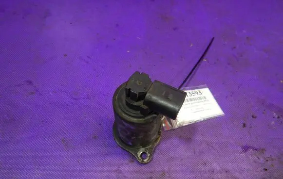 Renault Kangoo I EGR valve 53389606