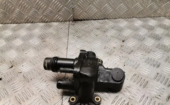 Thermostat/thermostat housing