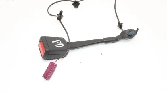 Ford Focus Front seatbelt buckle
