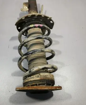 Ford S-MAX Front shock absorber with coil spring