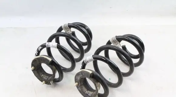 Rear coil spring