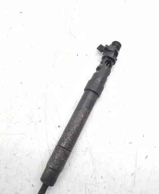 Peugeot 3008 I Fuel injector 9686191080