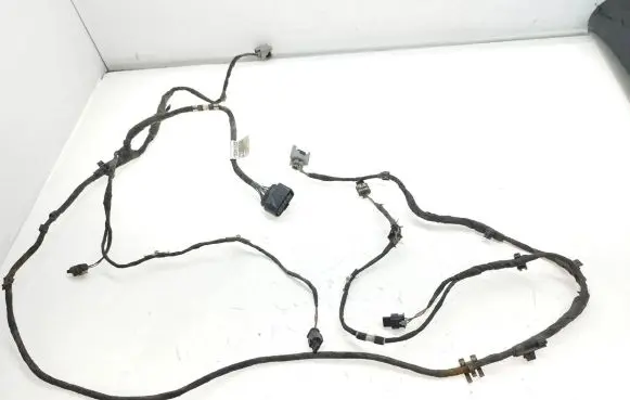 Volkswagen PASSAT B7 Parking sensor (PDC) wiring loom 3AA971095AP