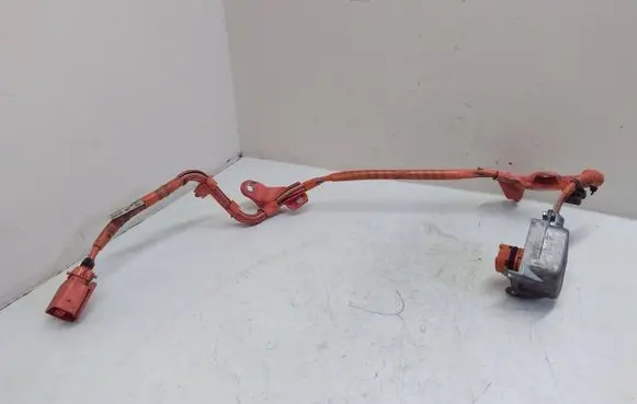 Toyota Prius (XW50) Other wiring loom 821H247010