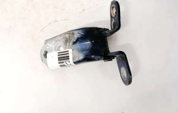 Rear door lower hinge