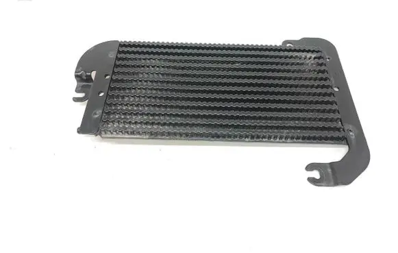 Renault Trafic III (X82) Fuel cooler (radiator) 175104049R 93868458