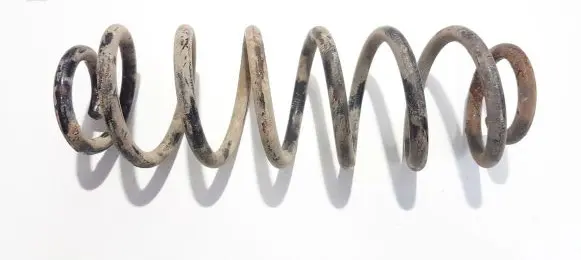 Volkswagen PASSAT B6 Rear coil spring