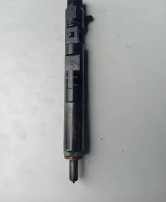 Renault Kangoo I Fuel injector EJBR05102D 4863AB16F71
