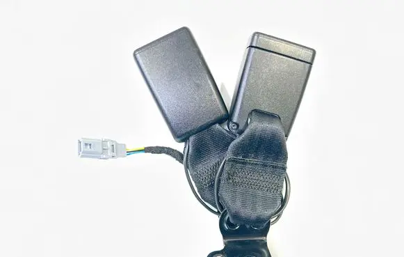 Renault Zoe Middle seatbelt buckle (rear) 878163956R 6383345