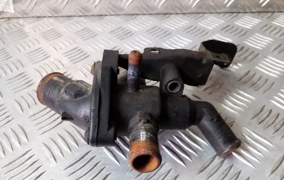Thermostat/thermostat housing
