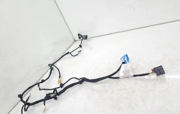 Porsche Taycan 9J1 Front door wiring loom 9J1971162EL