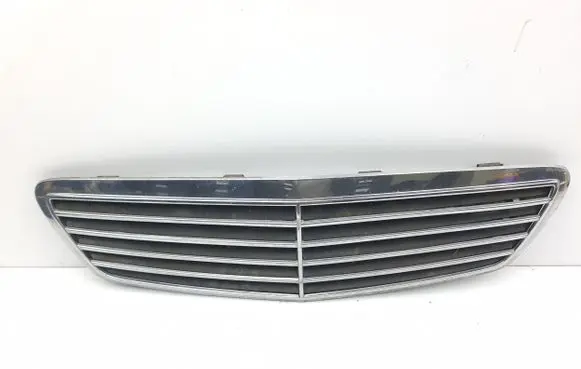 Front bumper upper radiator grill