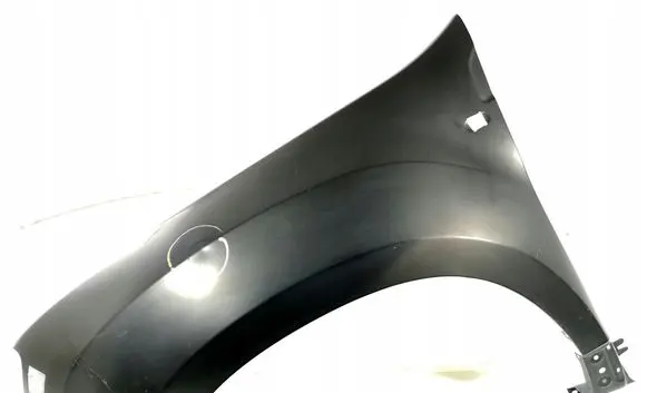 Dacia Duster II Fender 4560007