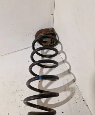 Rear coil spring