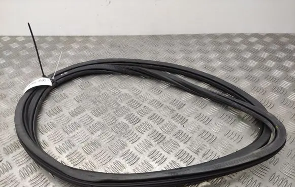 Audi A4 S4 B8 8K Front door rubber seal