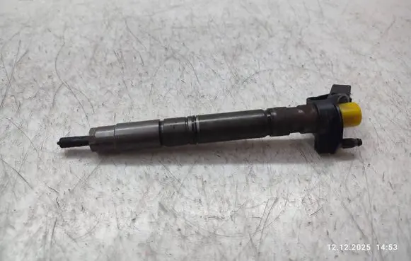 Audi A5 Sportback 8TA Fuel injector 0445117022