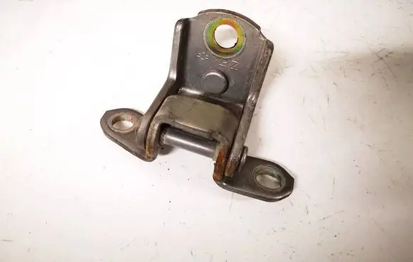 Rear door lower hinge