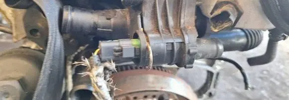 Engine coolant pipe/hose