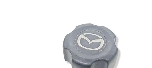 Think City Original wheel cap LA10