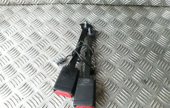 Renault Megane IV Front seatbelt buckle 878173738R