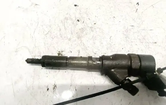 Citroen C5 Fuel injector 0445110076 9641742880