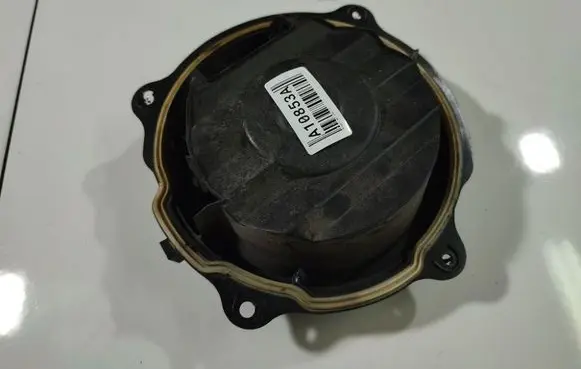 Peugeot 407 Front door speaker