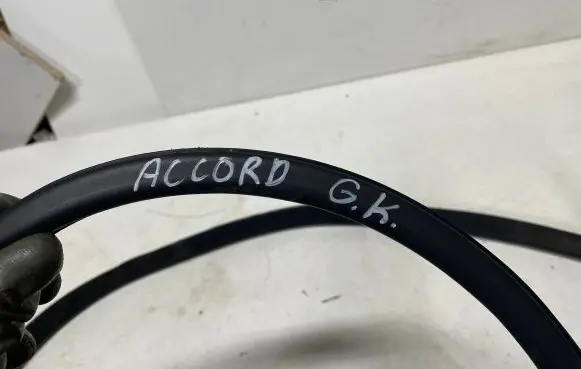 Honda Accord Rear door rubber seal (on body) 