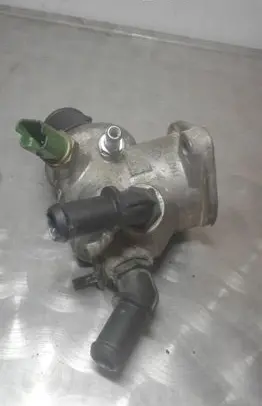 Thermostat/thermostat housing