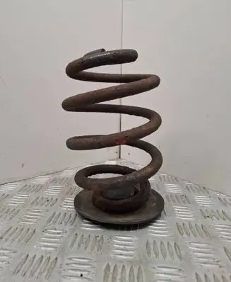 Rear coil spring