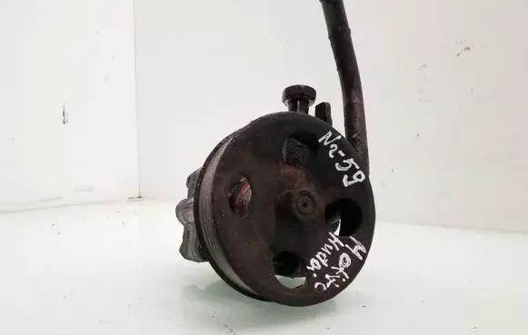 Hyundai Matrix Power steering pump 5710017500