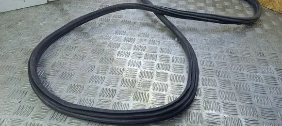 BMW 3 F30 F35 F31 Rear door rubber seal (on body) 7318511