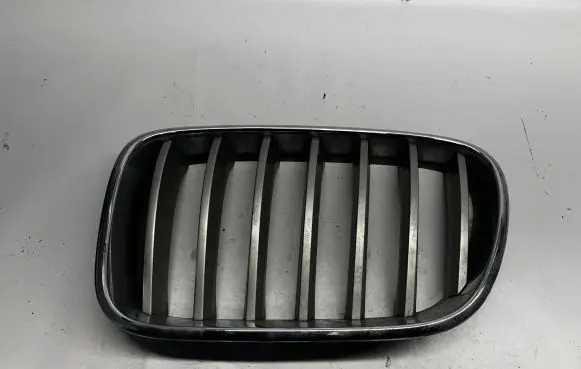 BMW X3 F25 Front grill 10627110