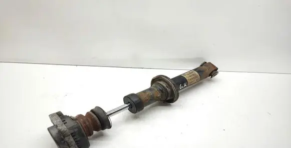 BMW X3 F25 Rear shock absorber/damper 6796317 33526796317